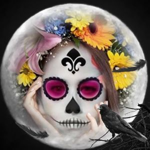 Meet your Posher, Lilly